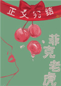 菲尅老虎小說封面